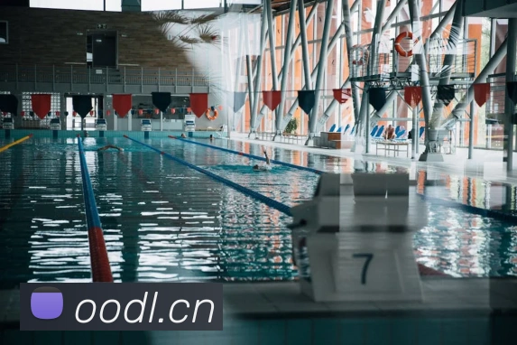 九游在线官方官网平台生态图